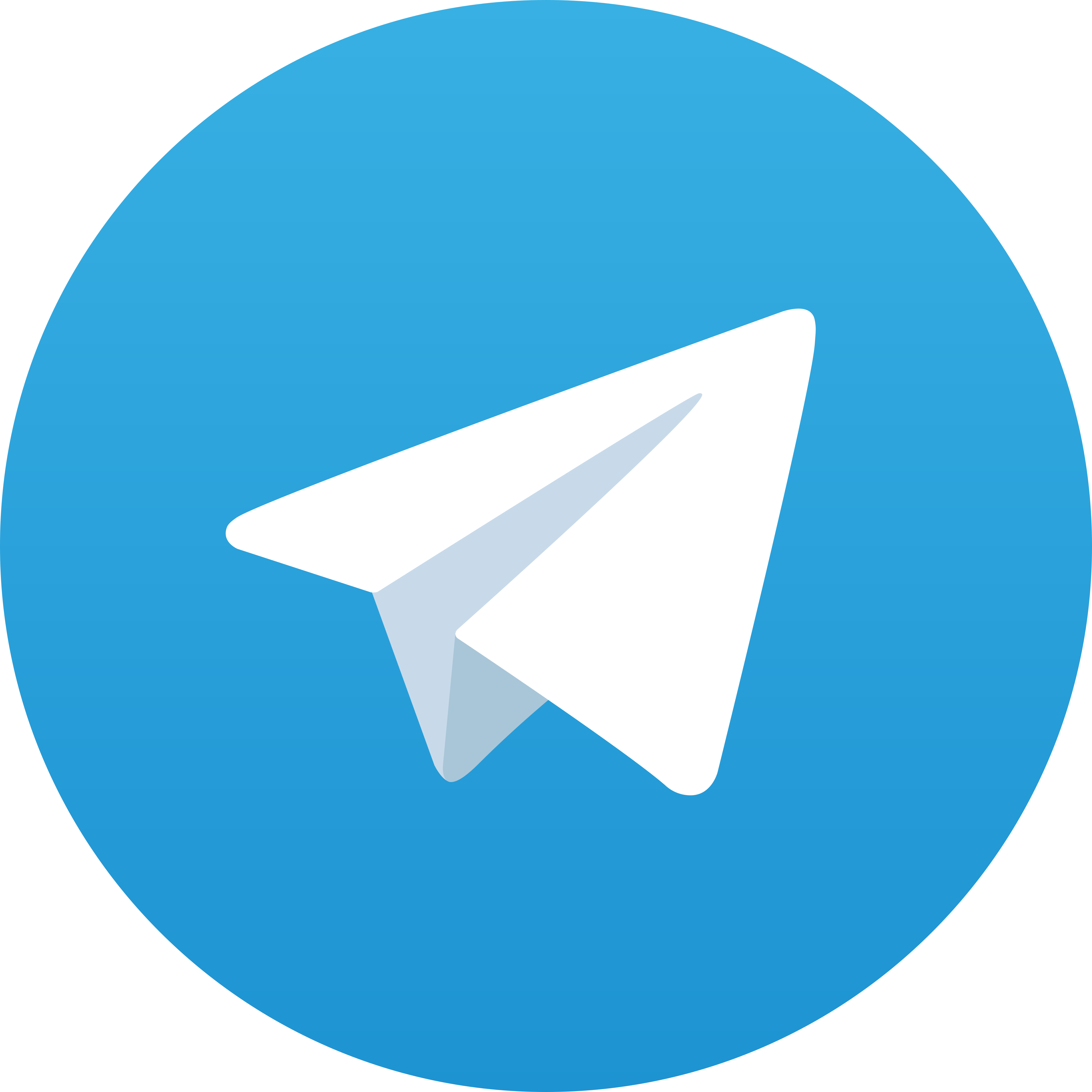Telegram CARA1001